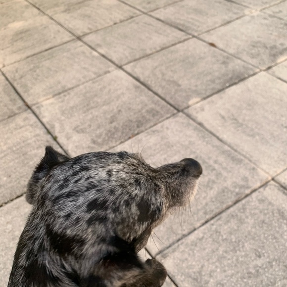 Meet your Posher, Melanie - Picture 1 of 1